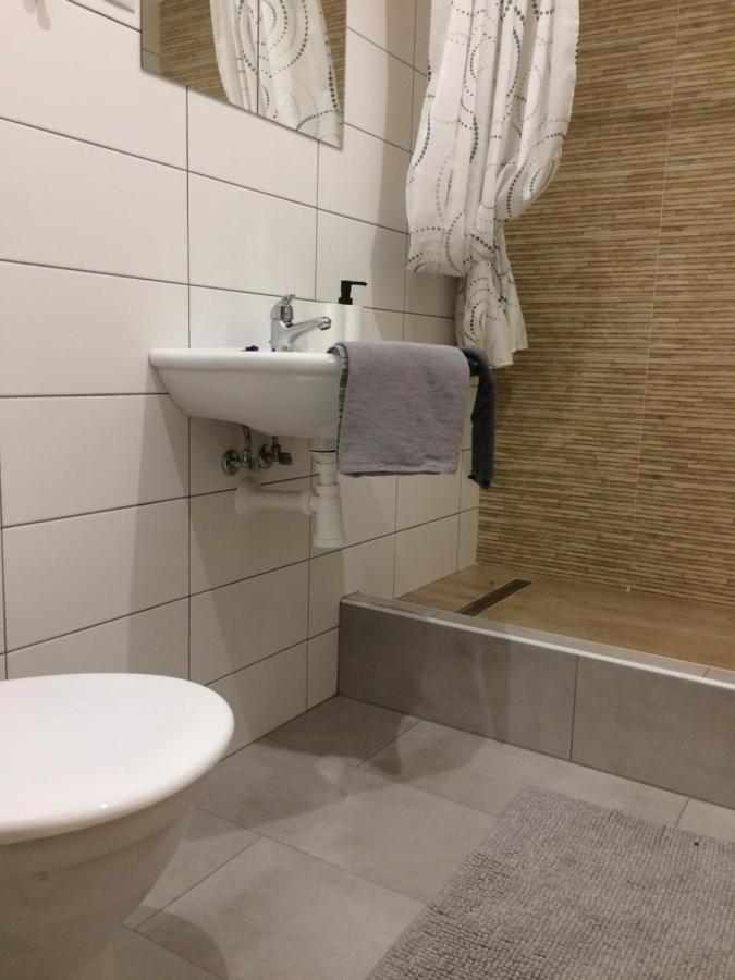 Ubytovani U Brabantika Desná Kültér fotó
