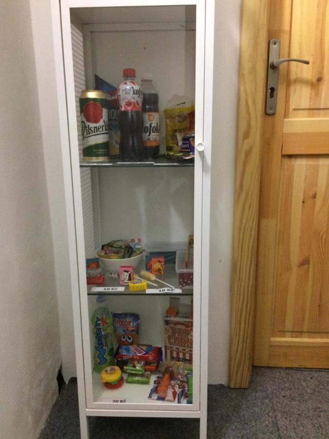 Ubytovani U Brabantika Desná Kültér fotó